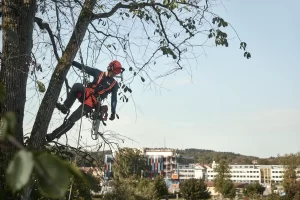 Husqvarna kettingzaag