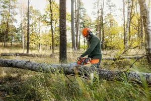 Husqvarna kettingzaag